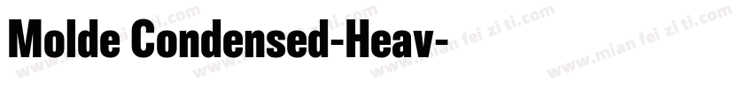 Molde Condensed-Heav字体转换